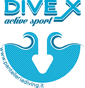 diveX Logo